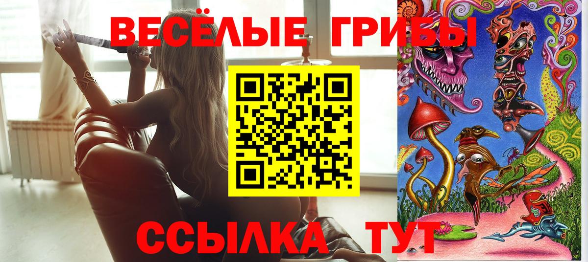 Галлюциногенные грибы GOLDEN TEACHER Острогожск
