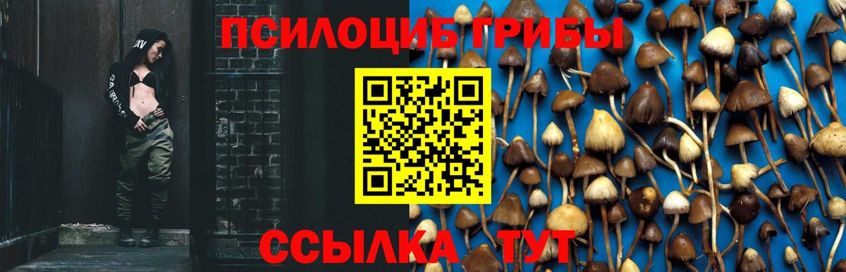 Псилоцибиновые грибы прущие грибы  Вход с VPN  Острогожск 