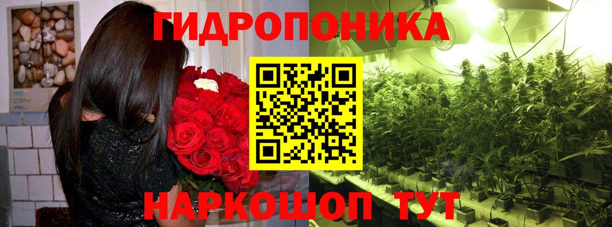 Бошки марихуана OG Kush  Шишки марихуана конопля  Шишки марихуана OG Kush  Острогожск  Вход с VPN 